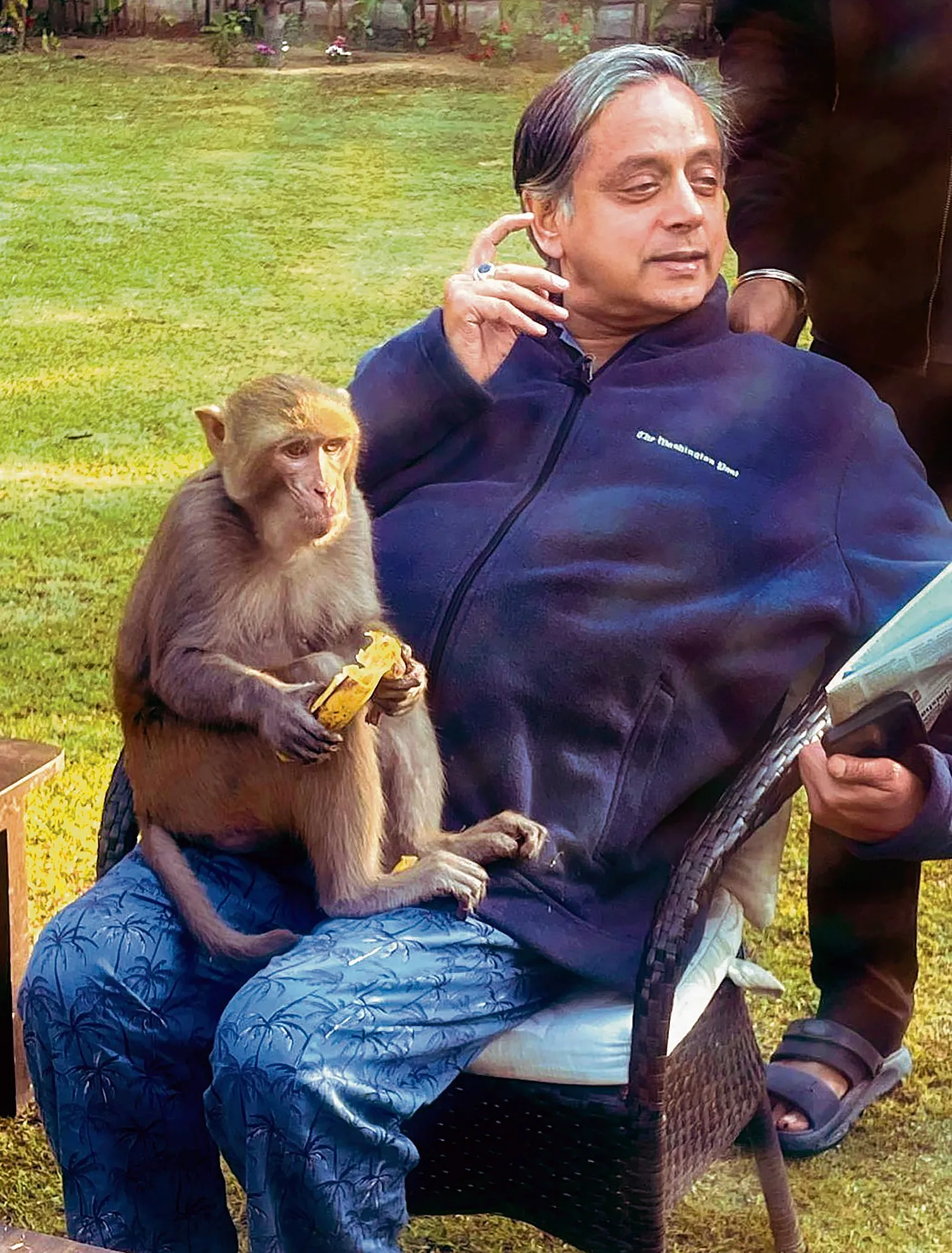 When the monkey hugged Shashi Tharoor