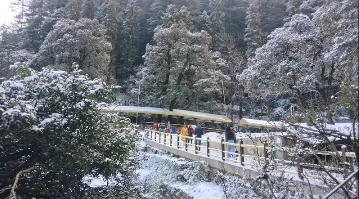 Shimla Weather: 87 roads closed for traffic due to snowfall