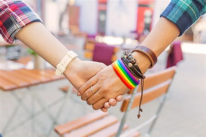 Andhra High Court grants same-sex couple right to live together, bans parents from ‘interfering’