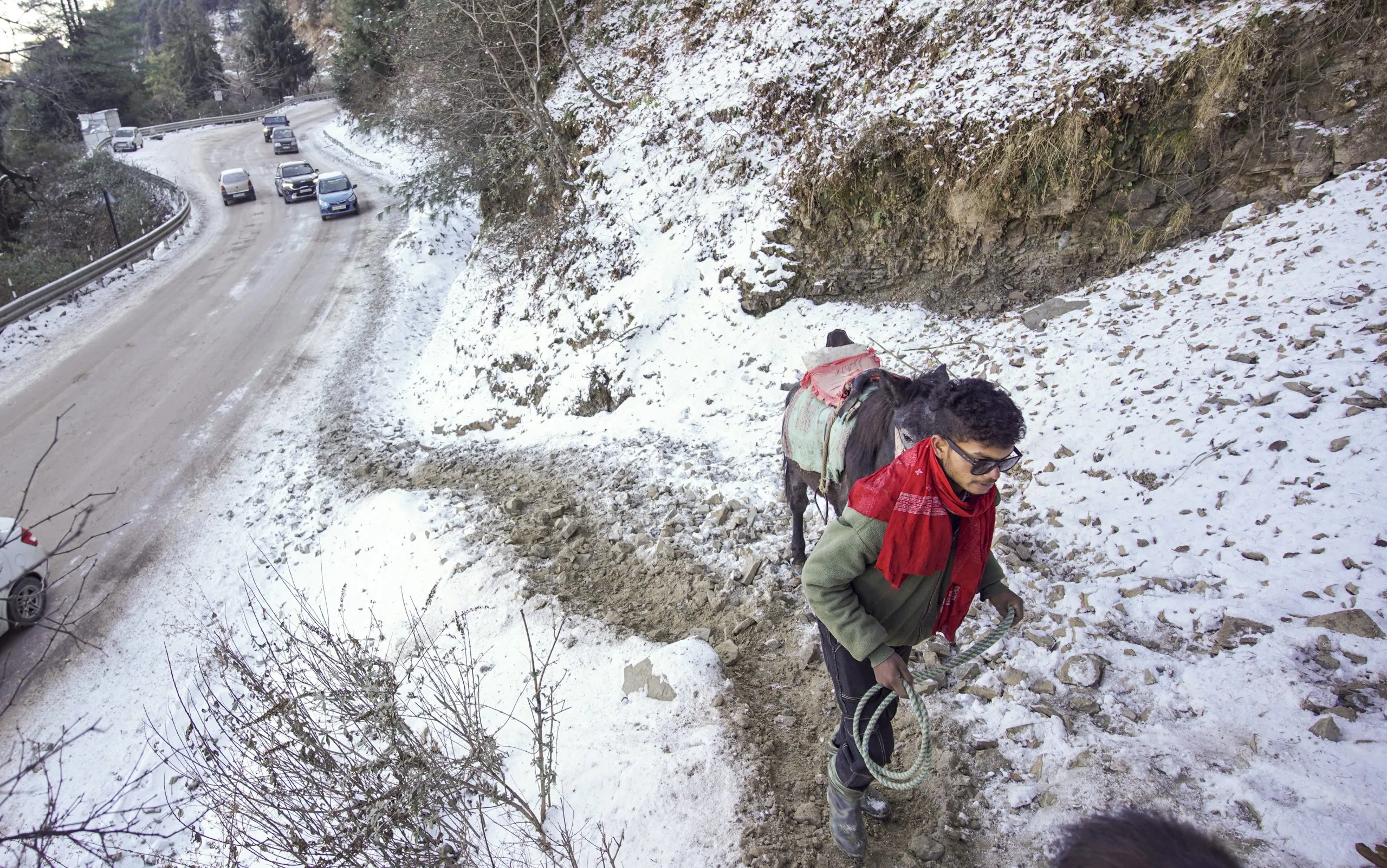 Snow: After the snowfall in Himachal Pradesh, the cold increased in the northern region