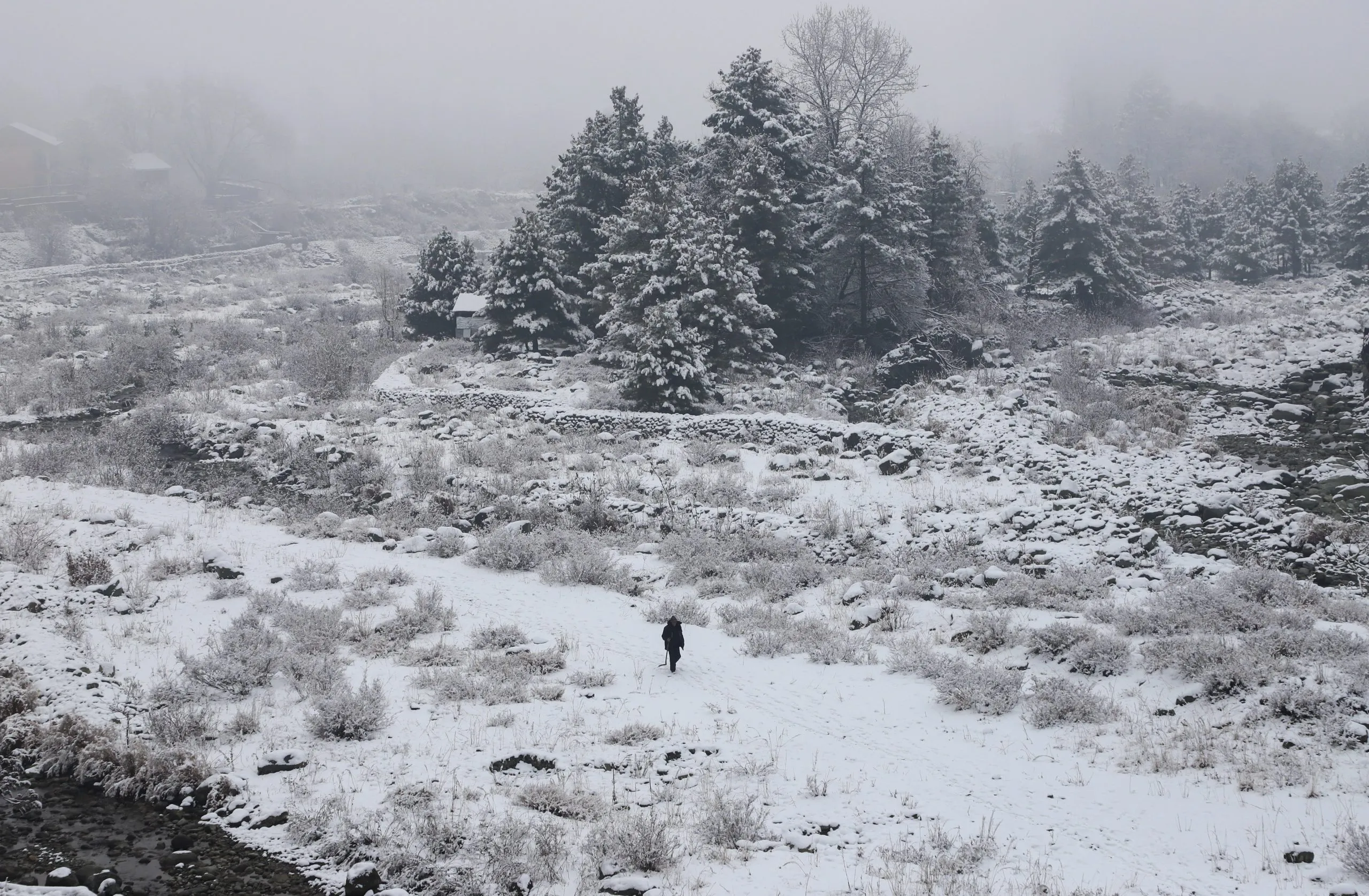 Snowfall in Kashmir: The first snowfall of this season in the plains of Kashmir