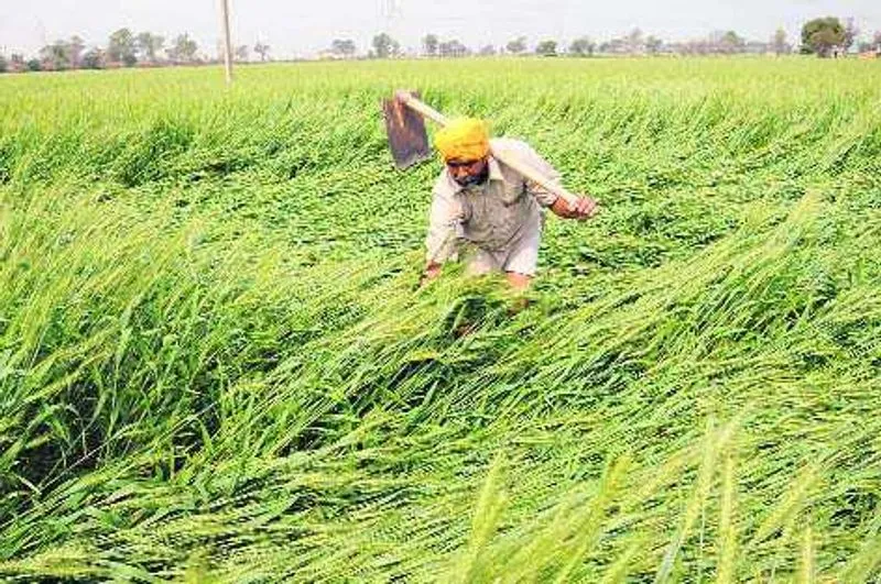 Important decisions for the welfare of farmers by the central cabinet