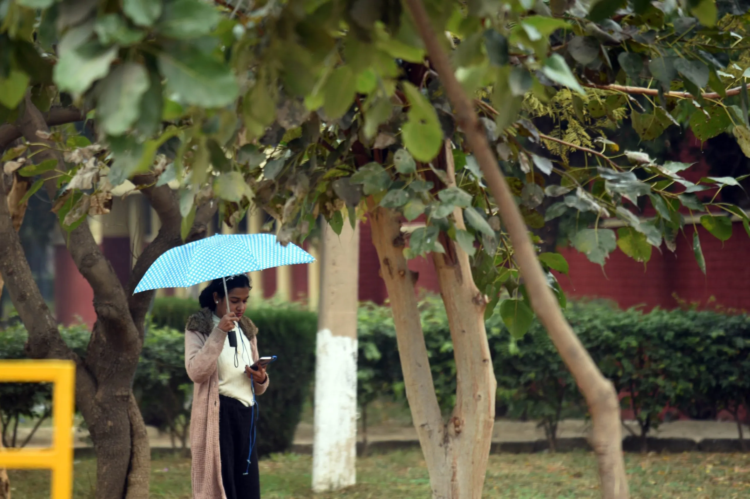 Recurse weather with rain in Ludhiana